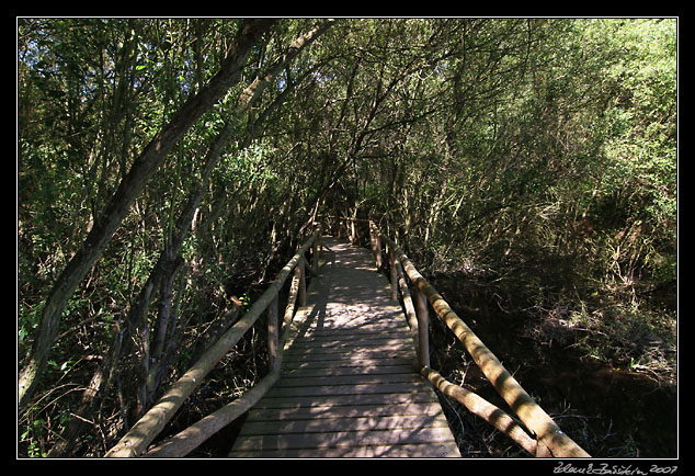 Parque Nacional Doñana