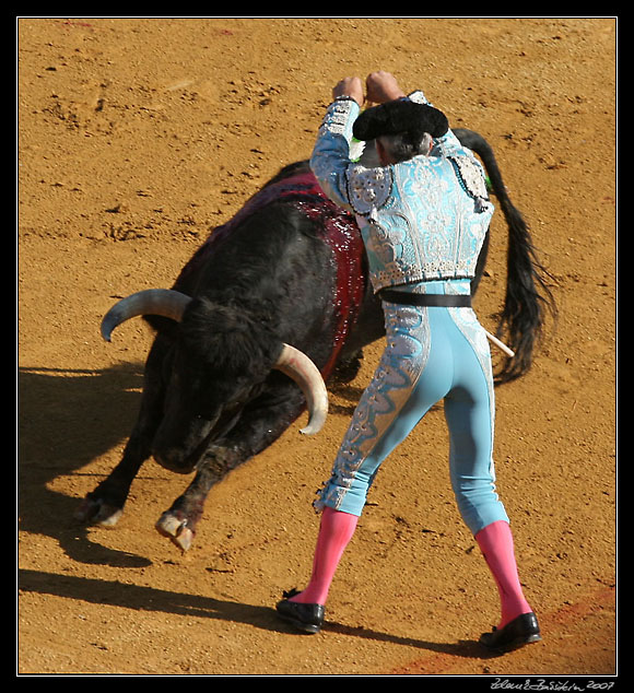 Sevilla  - <i>tercio de banderillas</i>