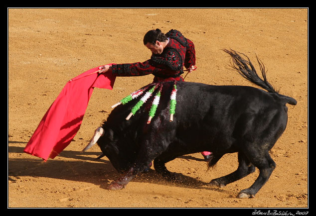Sevilla - <i>faena</i> of  Finito de Cordoba