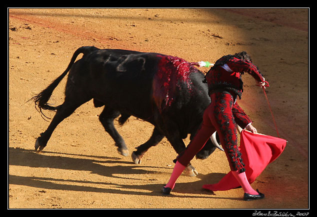 Sevilla - <i>faena</i> of  Finito de Cordoba