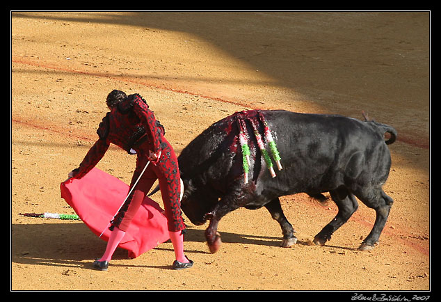 Sevilla - <i>faena</i> of  Finito de Cordoba