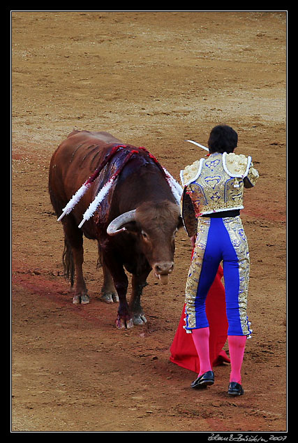 Sevilla - Sebasti�n Castella preparing for <i>estocada</i>