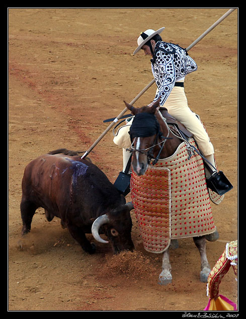 Sevilla - corrida de toros - picador`s action in tercio de varas