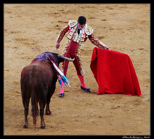 Sevilla - corrida de toros - <i>faena</i> of Jose Ma. Manzanares