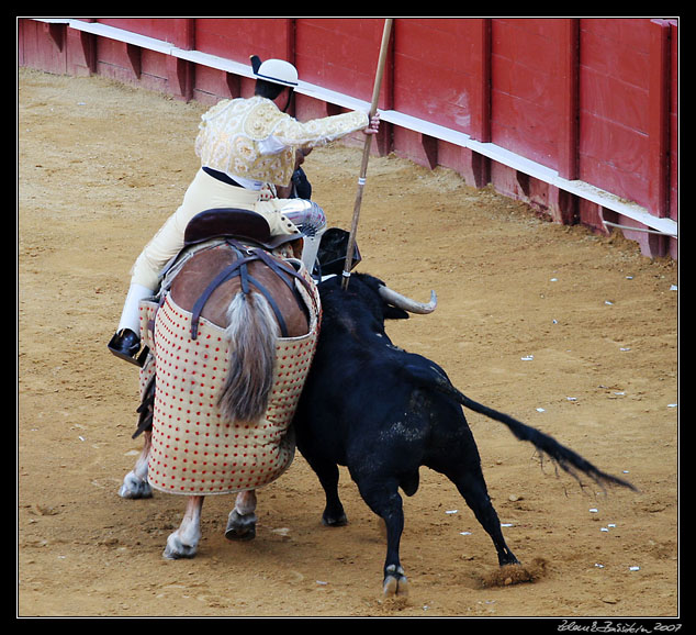 Sevilla - corrida de toros - picador`s action in <i>tercio de varas</i>