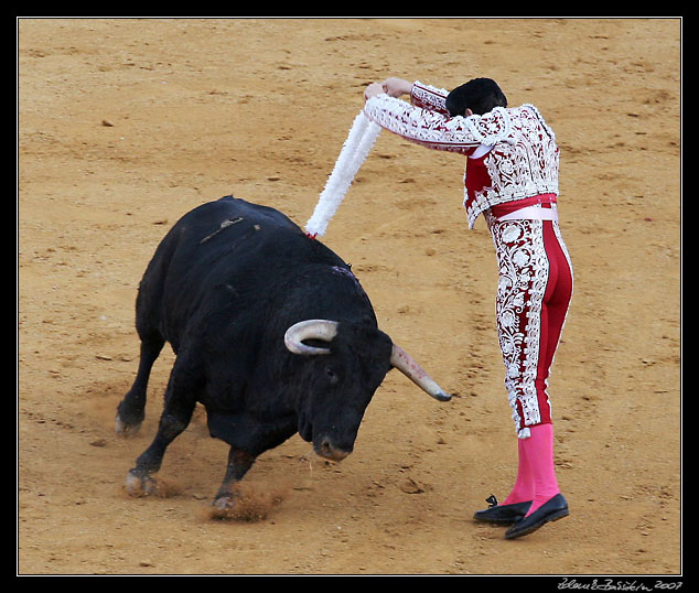 Sevilla - corrida de toros - placing <i>banderillas</i>