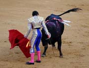 Sevilla - corrida de toros - Sebastián Castella