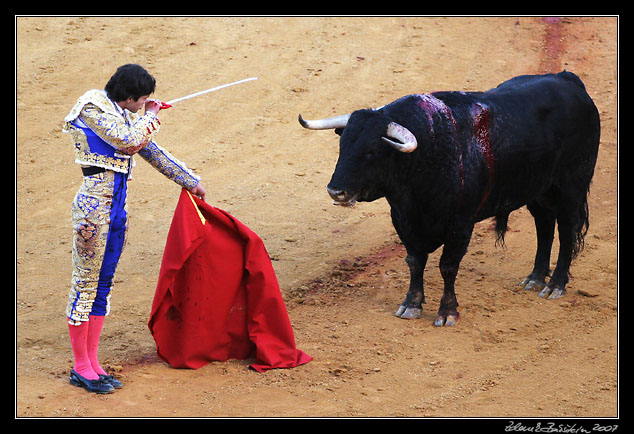 Sevilla - corrida de toros - Sebasti�n Castella preparing for <i>estocada</i>