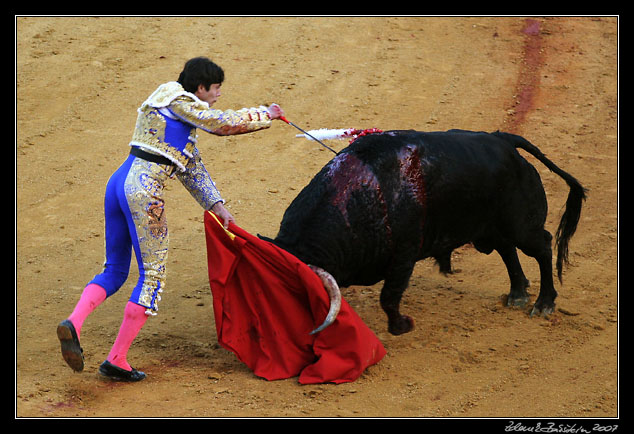 Sevilla - corrida de toros - Sebasti�n Castella performing <i>estocada</i>