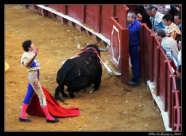 Sevilla - corrida de toros - Sebasti�n Castella triumphant