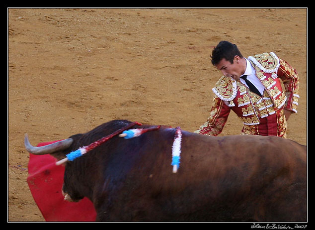 Sevilla - corrida de toros - Jose Manzanares