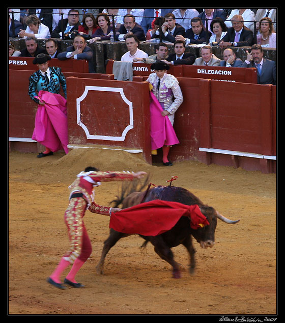 Sevilla - corrida de toros - <i>faena</i> of Jose  Manzanares