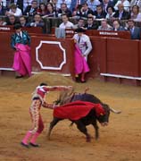 Sevilla - corrida de toros - <i>faena</i> of Jose  Manzanares