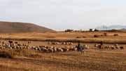 Armenia - in Goris area