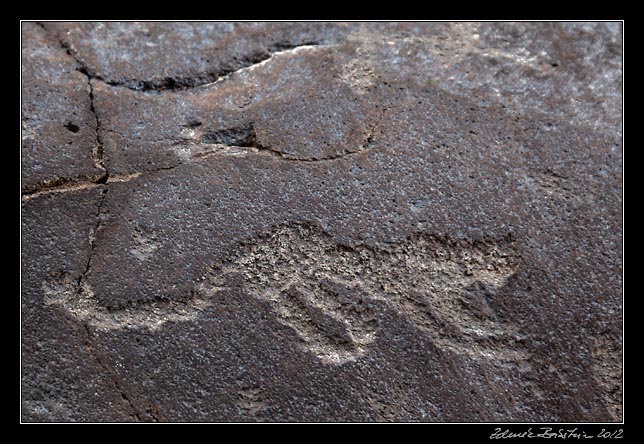 Armenia - Ughtasar - Ughtasar petroglyphs - a big cat