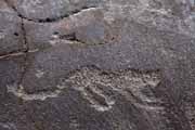 Armenia - Ughtasar - Ughtasar petroglyphs - a big cat