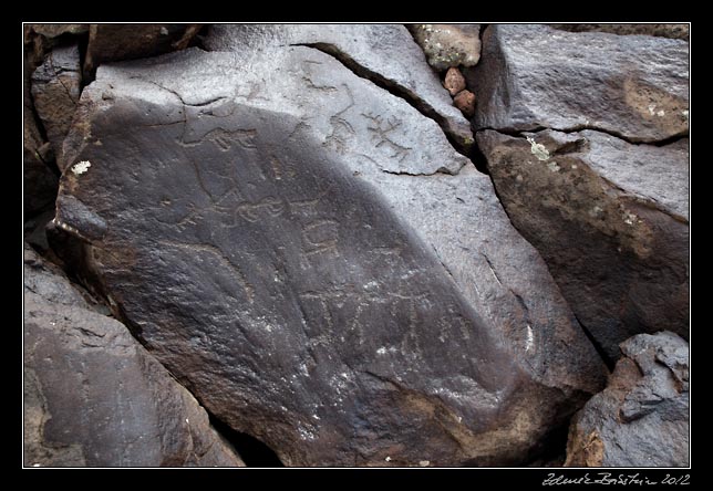 Armenia - Ughtasar - Ughtasar petroglyphs