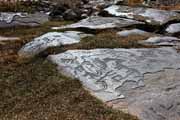 Armenia - Ughtasar - Ughtasar petroglyphs