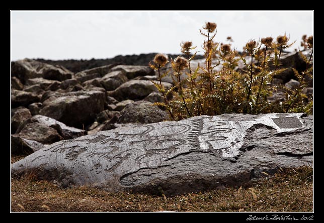 Armenia - Ughtasar - Ughtasar petroglyphs
