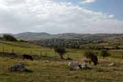 Armenia - Berdavan - Berdavan village