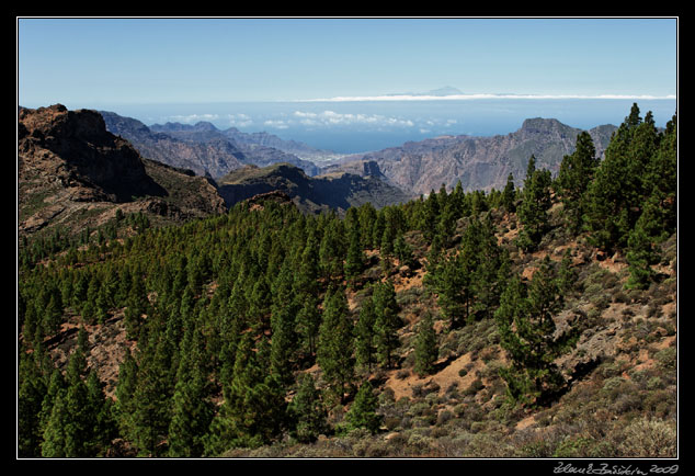 Gran Canaria - weat part of the island (San Nicol�s)