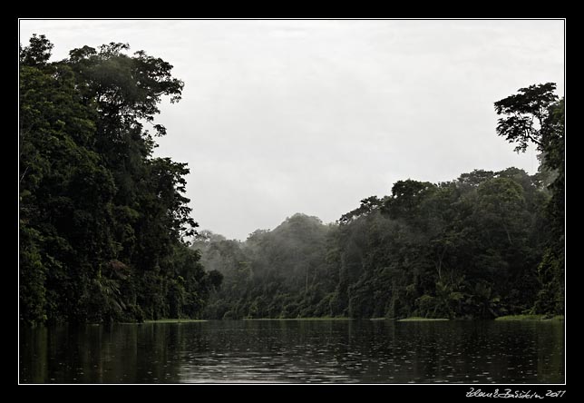 Costa Rica - Tortuguero - rainy morning