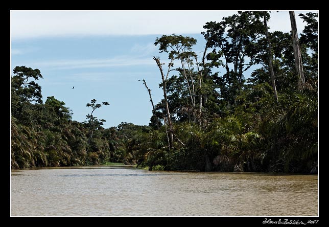 Costa Rica - Tortuguero canal -