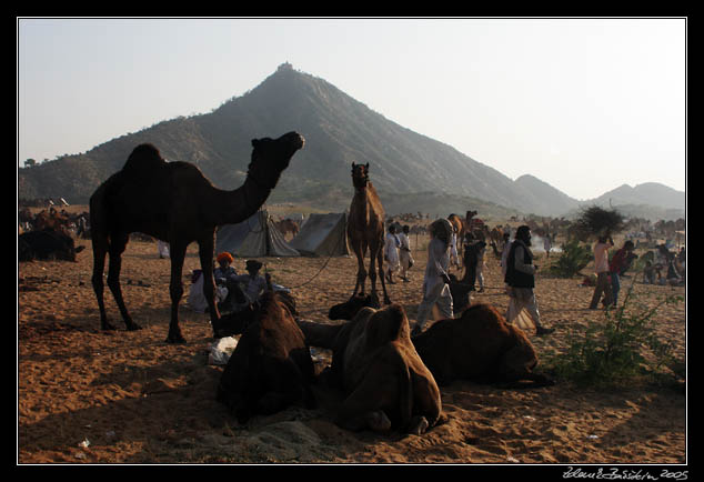 Pushkar