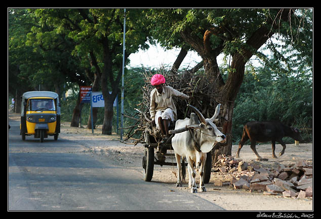 road traffic in Rajasthan
