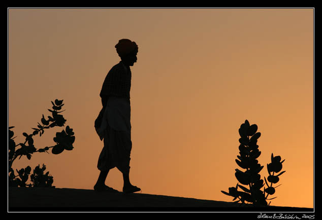 morning in Thar desert