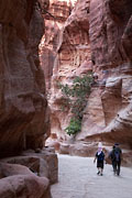 Petra - Al Siq