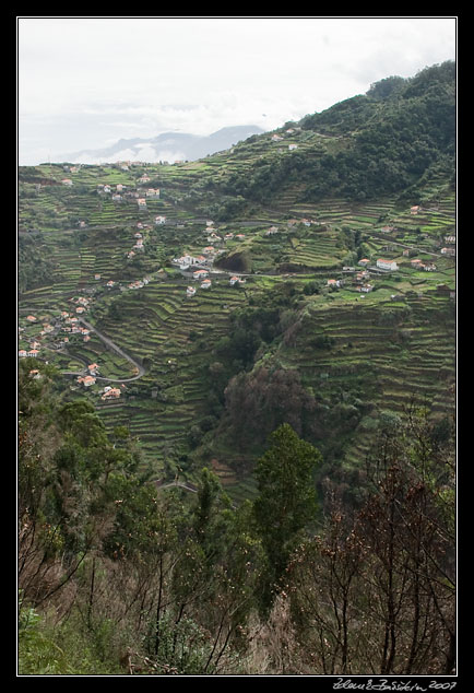 terraced countryside in Ribeira da Janela valley