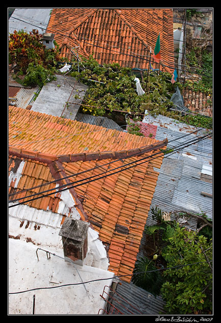 roofs of Funchal