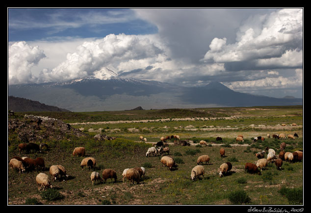 Turkey - Dogubeyazit - Ararat