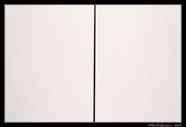 Ztoto�n�n� - Identification