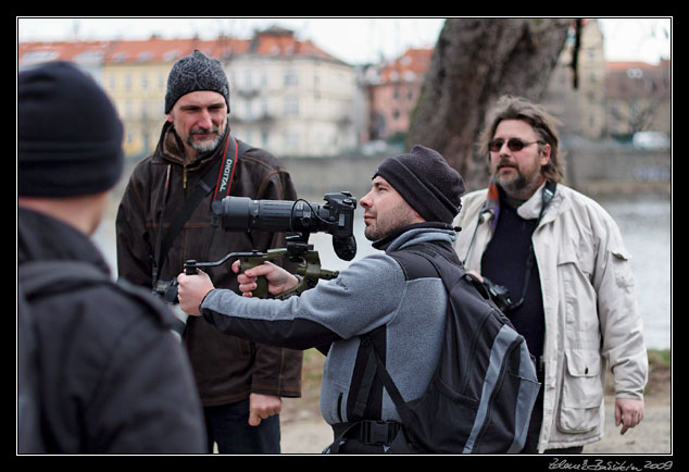 Wildlife photography