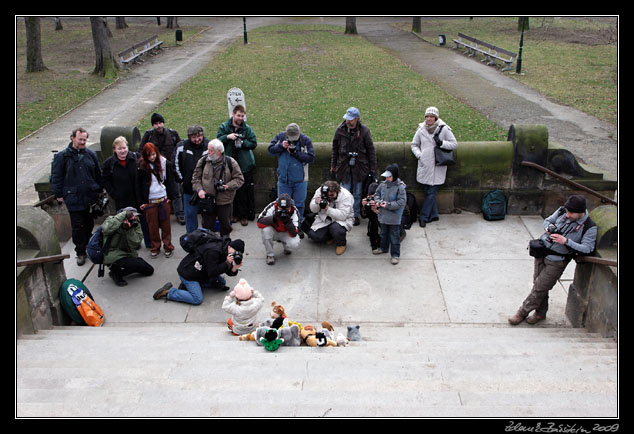 Wildlife photography workshop