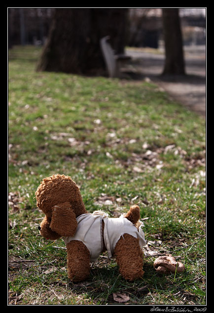 Wildlife photography workshop