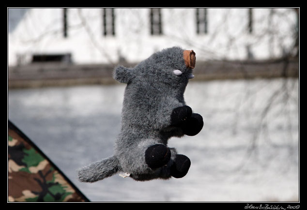 Wildlife photography workshop