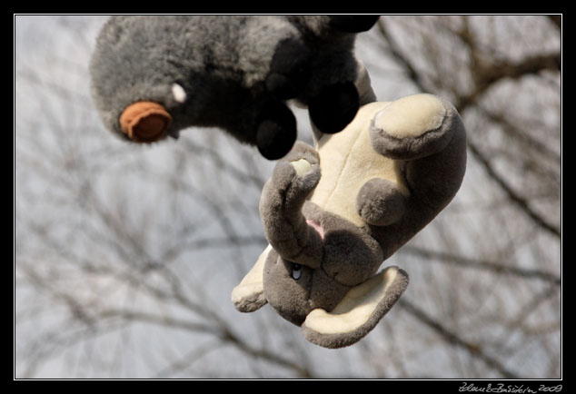 Wildlife photography workshop