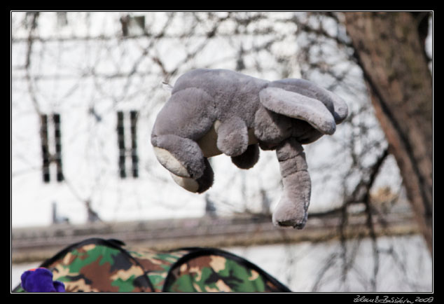 Wildlife photography workshop