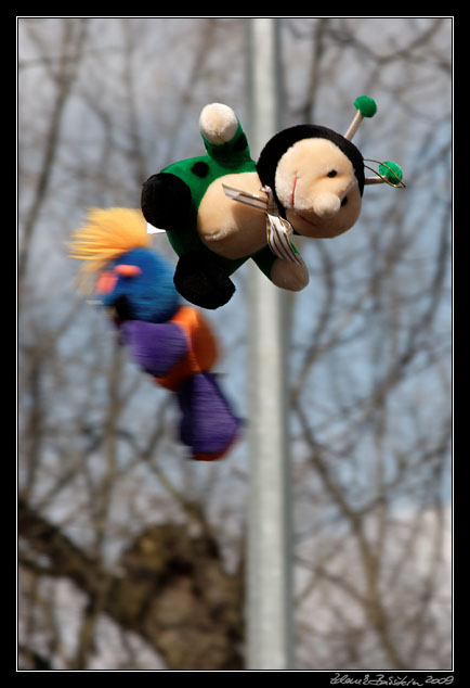 Wildlife photography workshop