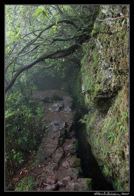 Levada do Furado