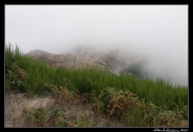 a view from Terreiros