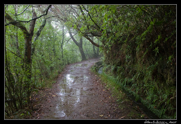 Levada do Furado